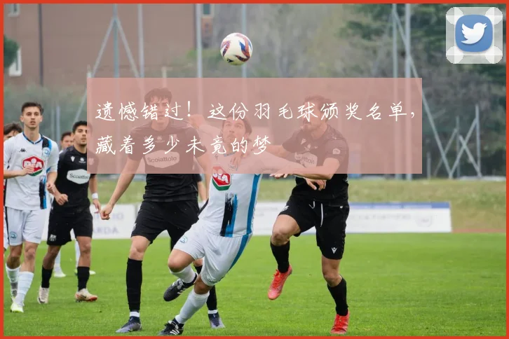 遗憾错过！这份羽毛球颁奖名单，藏着多少未竟的梦